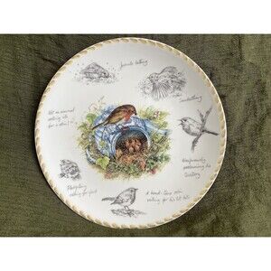 WEDGWOOD THE ROBIN BIRDWATCHERS NOTEBOOK COLLECTOR DISPLAY PLATE BY ERIC ROBSON